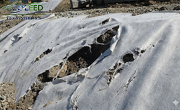Geotextile damage